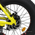 36v 350w ebike high quality folding electric bike